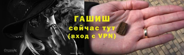 прущие грибы Абаза