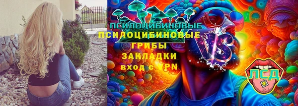 прущие грибы Абаза