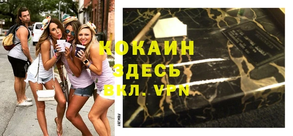 прущие грибы Абаза