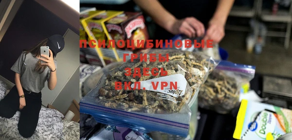 гашик Абинск
