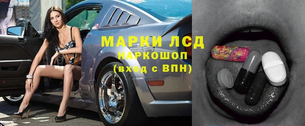 прущие грибы Абаза