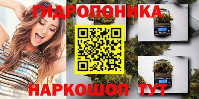 прущие грибы Тула